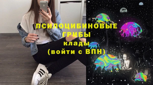 каннабис Белокуриха